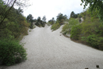 Schoorlse duinen